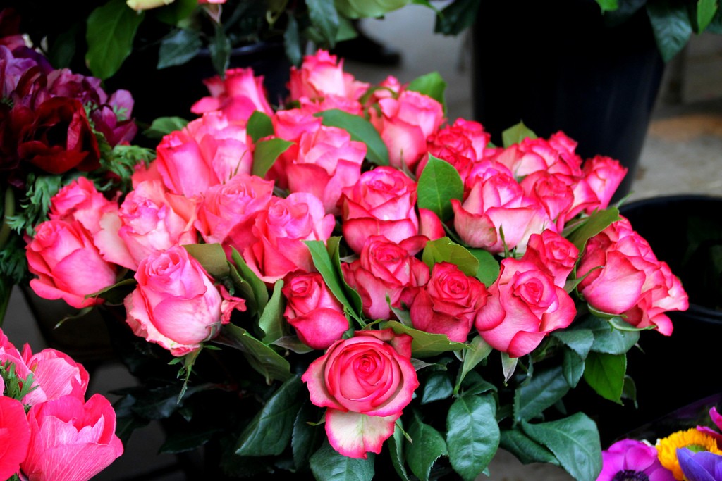 Valentinstag Geschenk Idee keine Rosen! Bonprix Fashion Blog