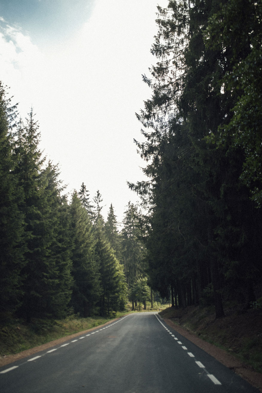 Der Junge im Wald | Mister Matthew | Karohemd und Jeans | Kurzgeschichte | Portrait | Straße im Wald | 14