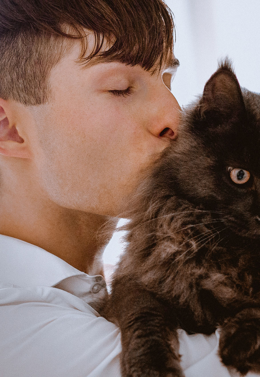 Tiere in der Mode | Maine Coon Kater | Katze einen Kuss geben 1
