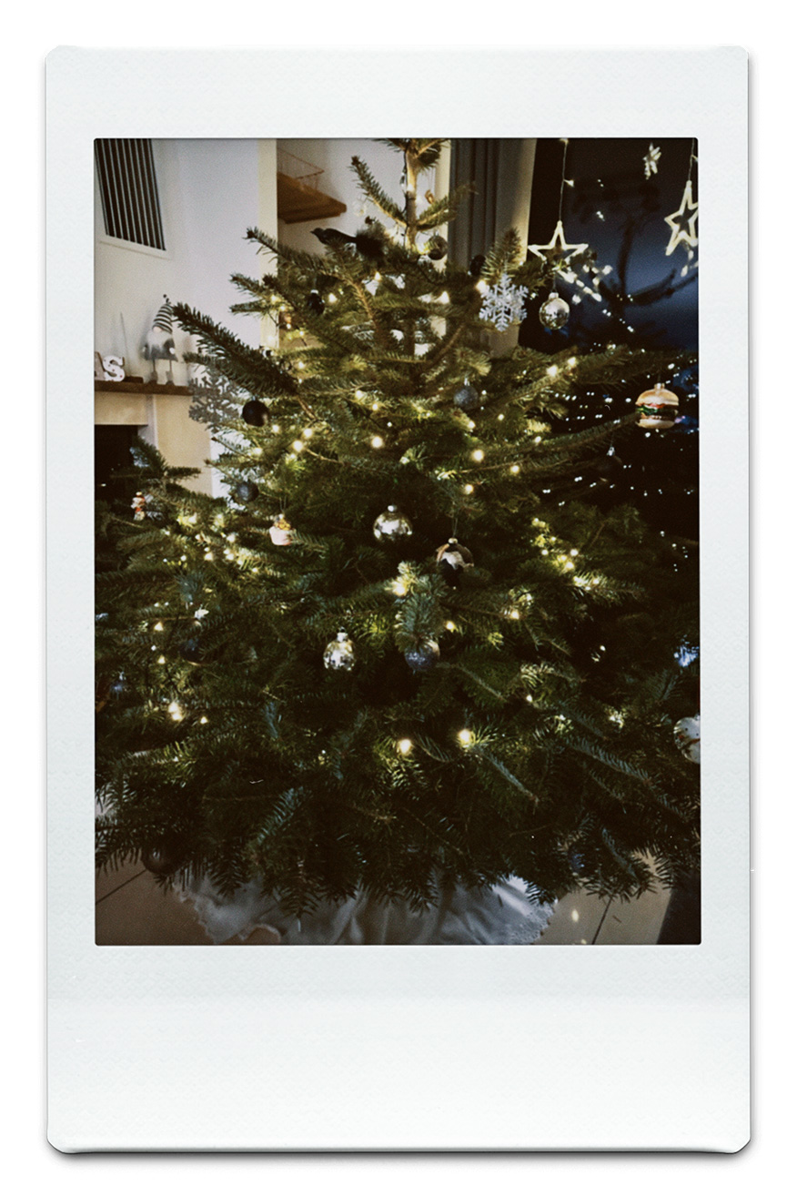 Polaroid Tagebuch: 5 Tage Weihnachten mit Mister Matthew Weihnachtsbaum Tag 3