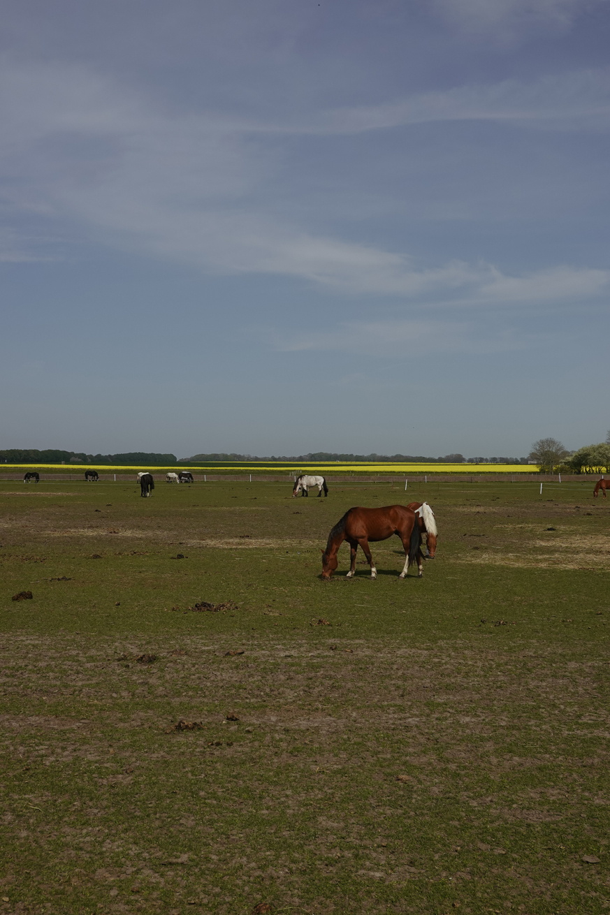 Fototagebuch Ostsee 34