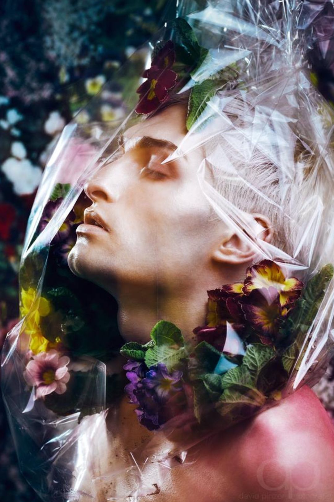 Mister Matthew stellt 5 queer-owned Beautybrands vor, die du noch nicht kennst