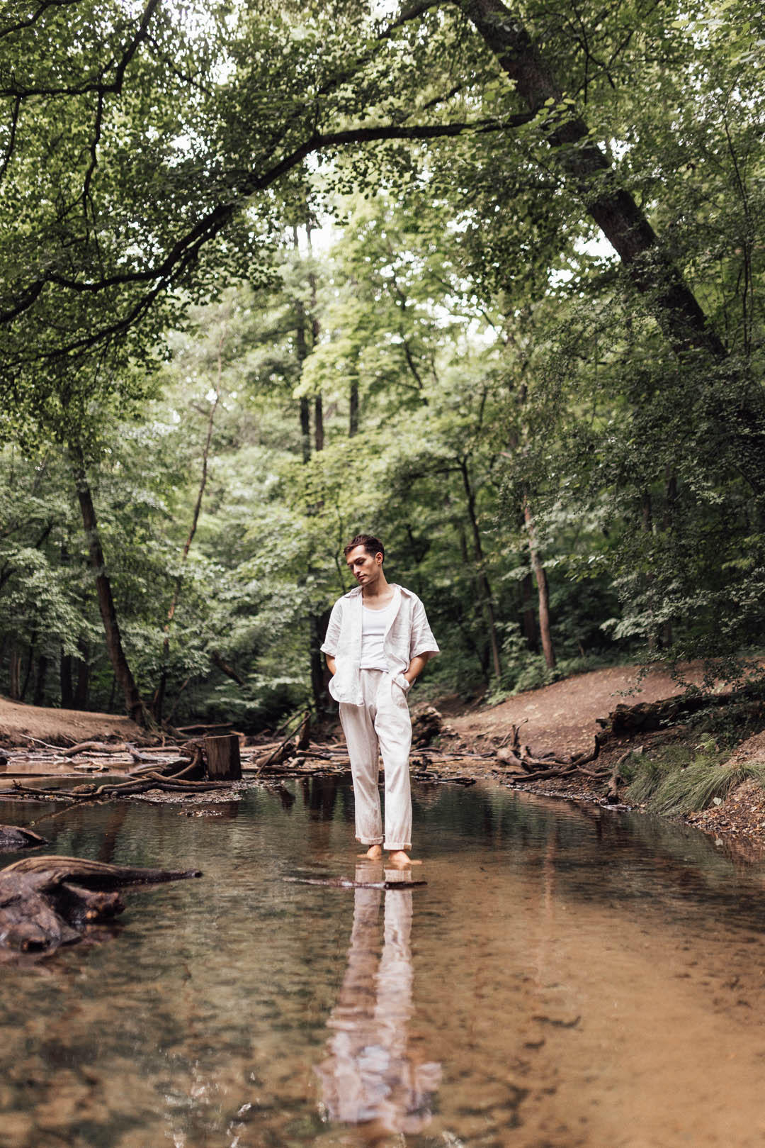 Mister Matthew steht im Wald, an der Priesnitz in der Heide in Dresden